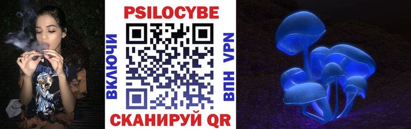 цена   Ленинск-Кузнецкий  Галлюциногенные грибы Psilocybine cubensis 